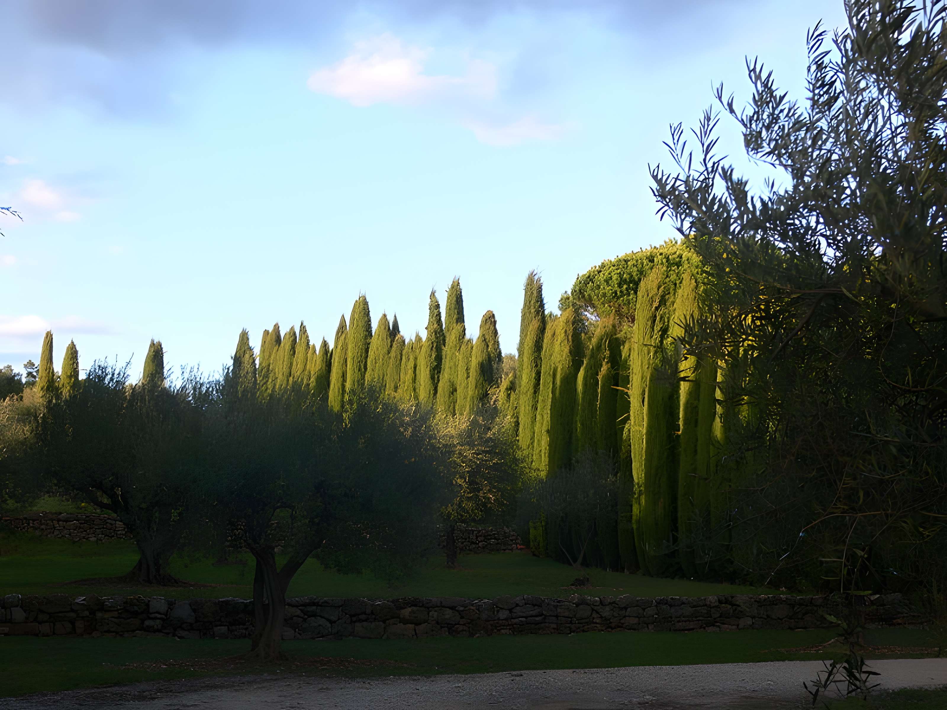 Domaine des Treilles à Flayosc