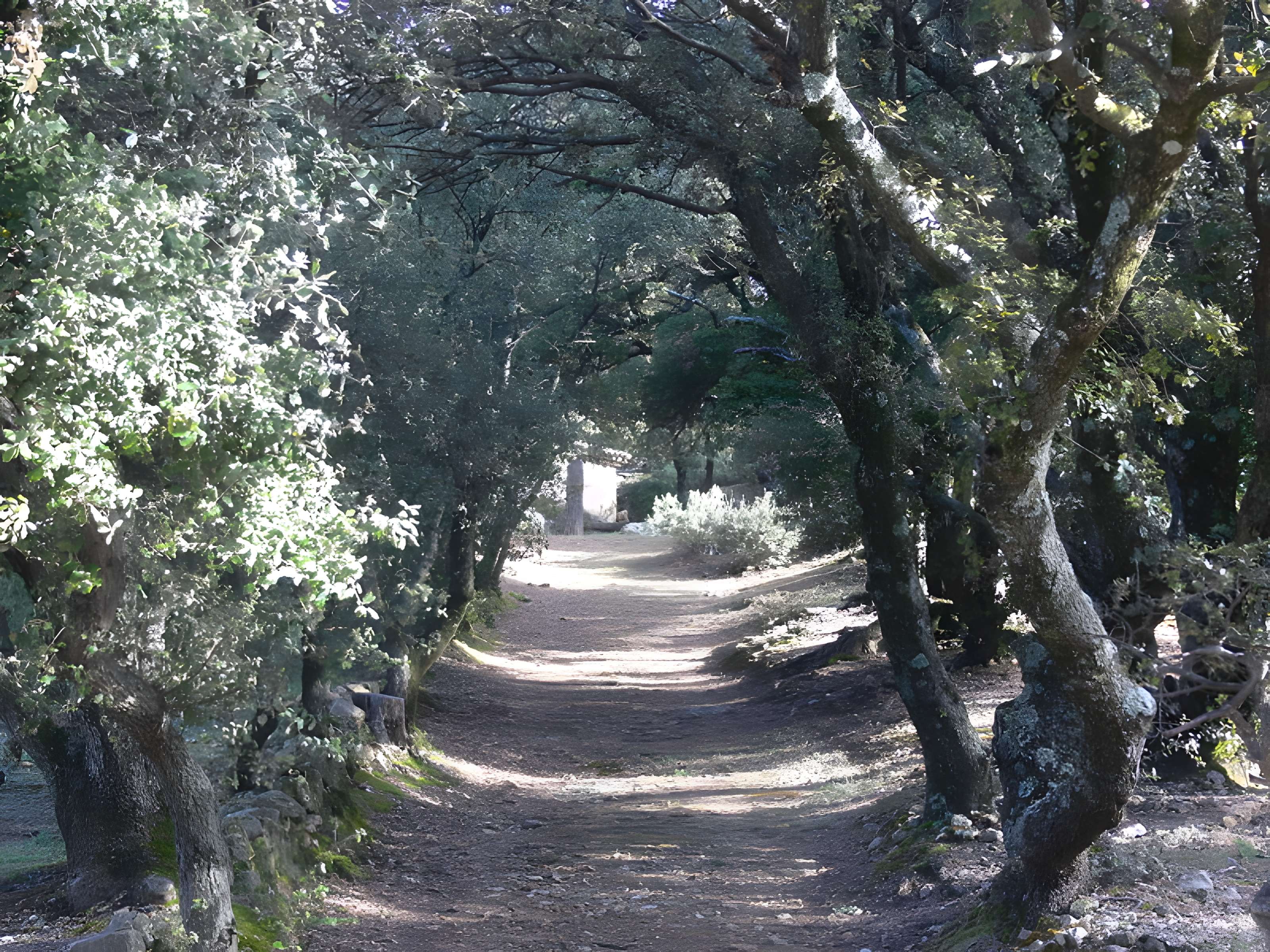 Domaine des Treilles à Flayosc
