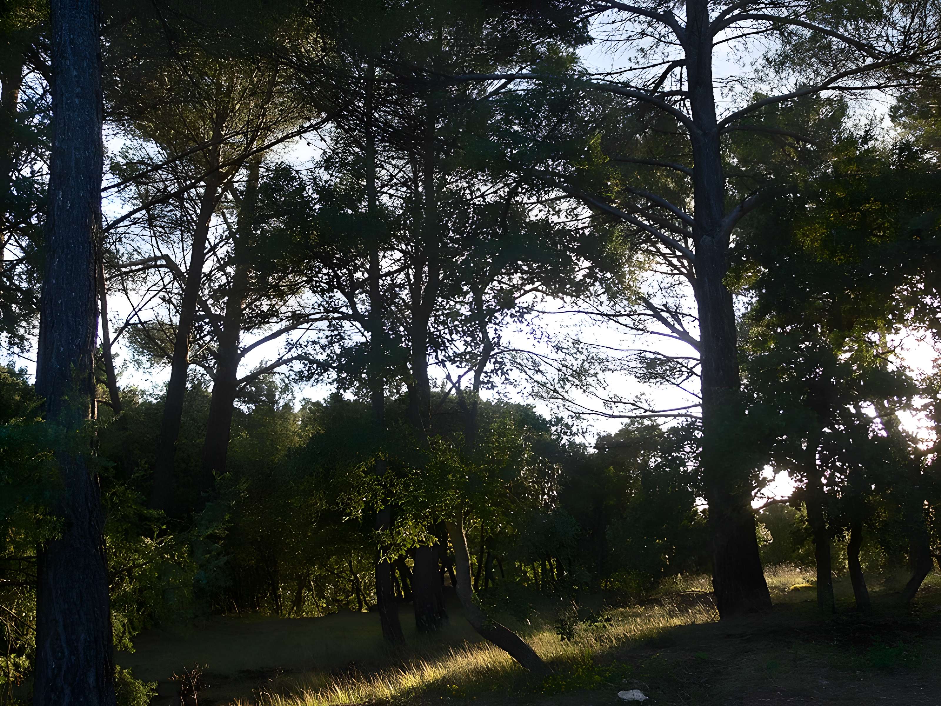 Domaine des Treilles à Flayosc