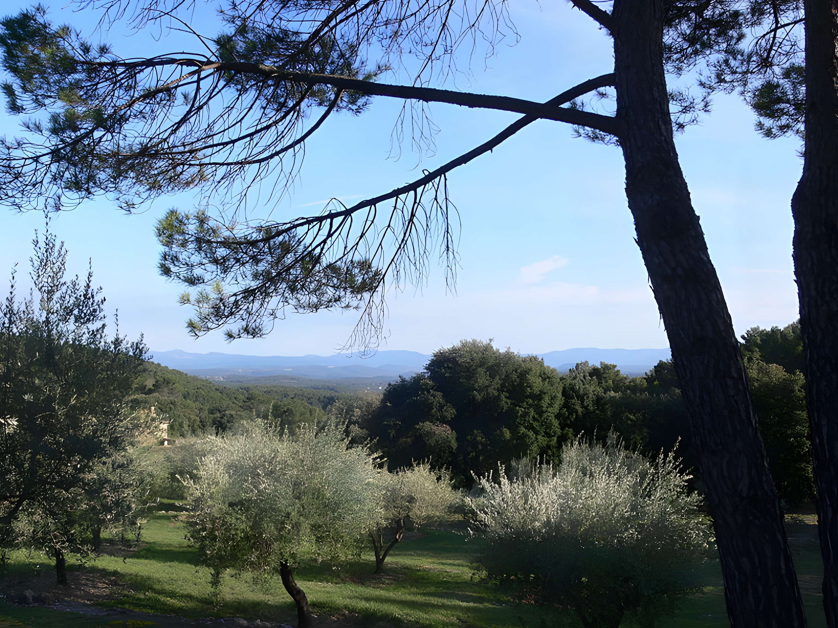 Domaine des Treilles à Flayosc