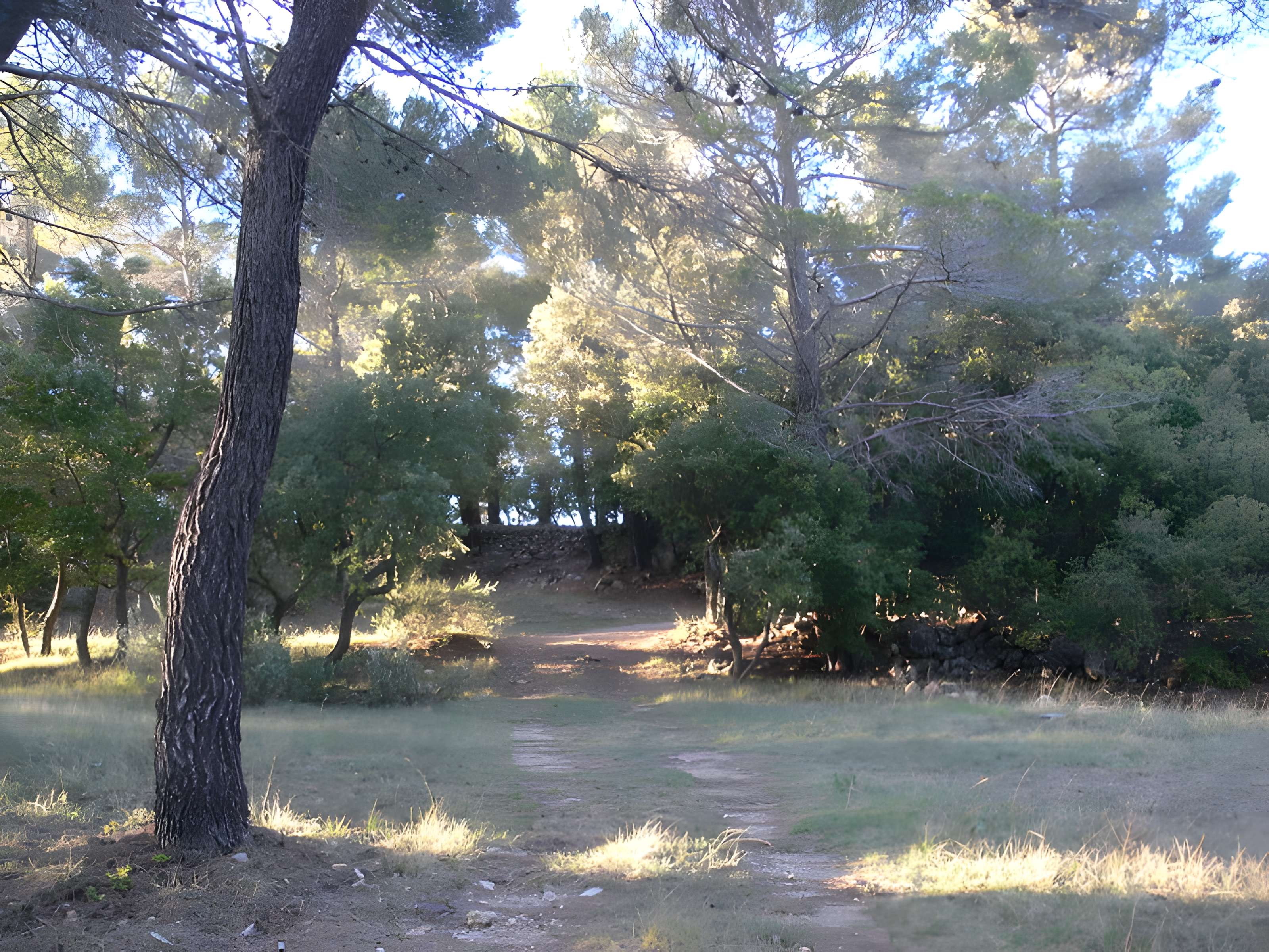 Domaine des Treilles à Flayosc