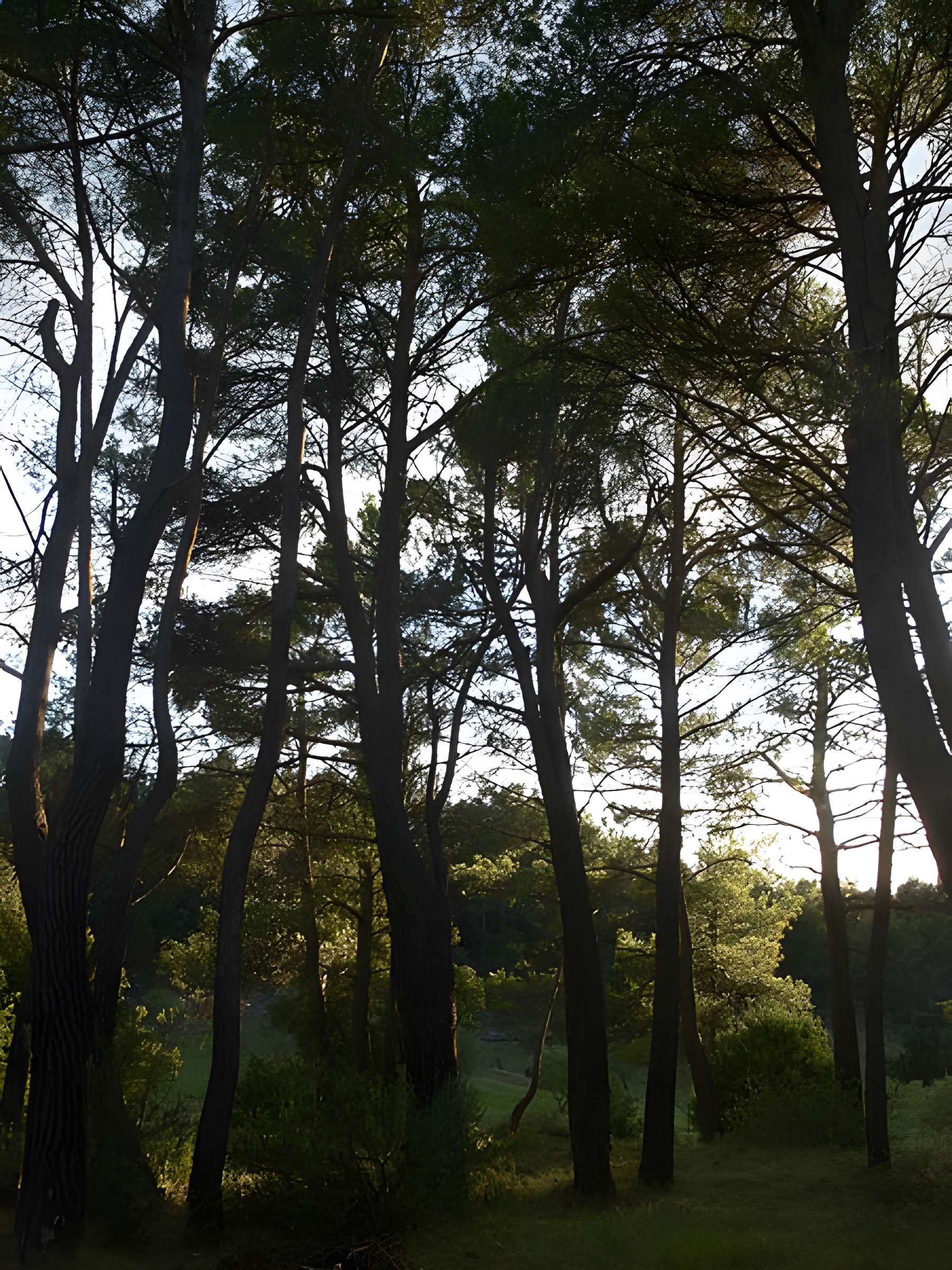 Domaine des Treilles à Flayosc