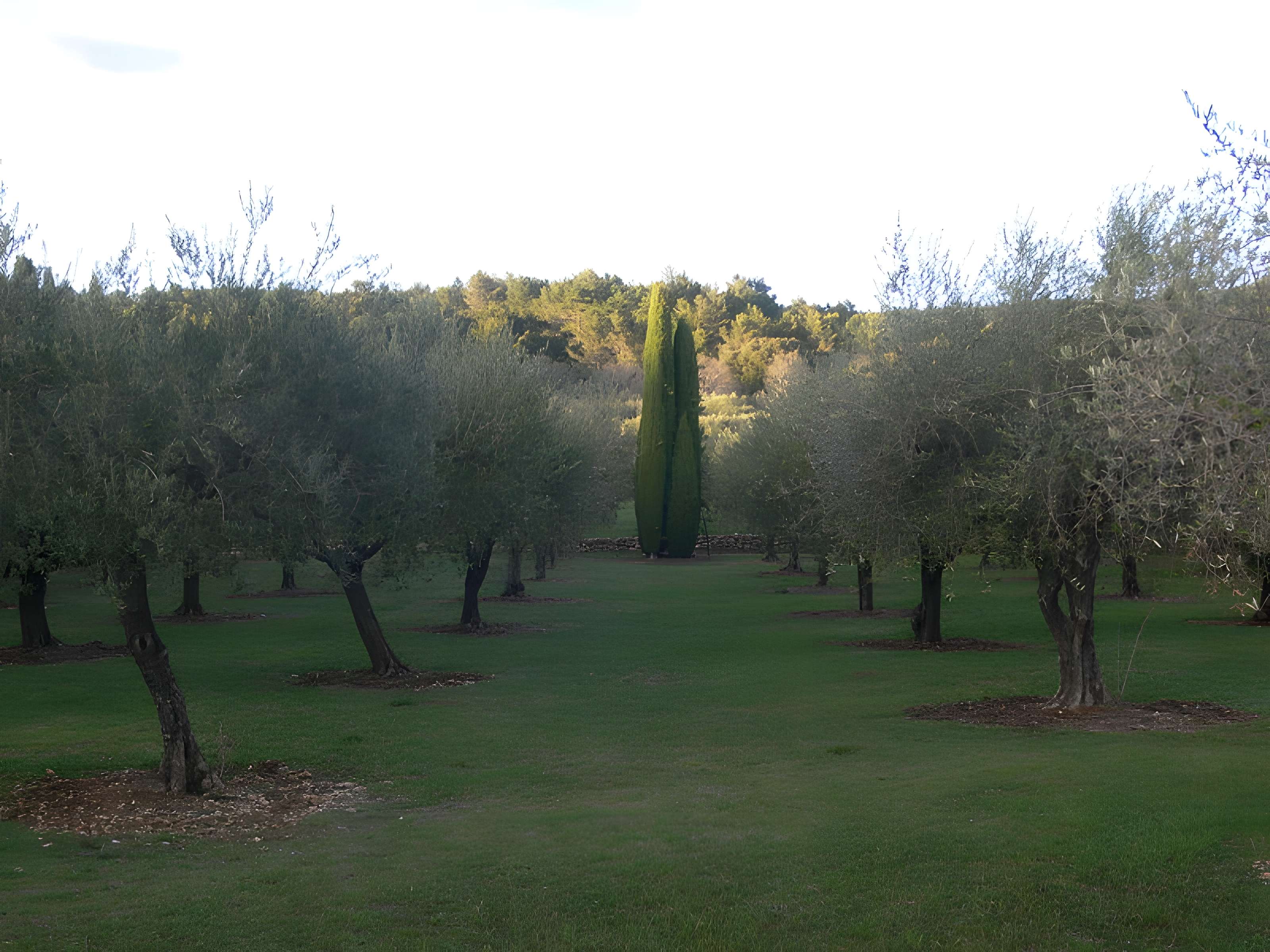 Domaine des Treilles à Flayosc