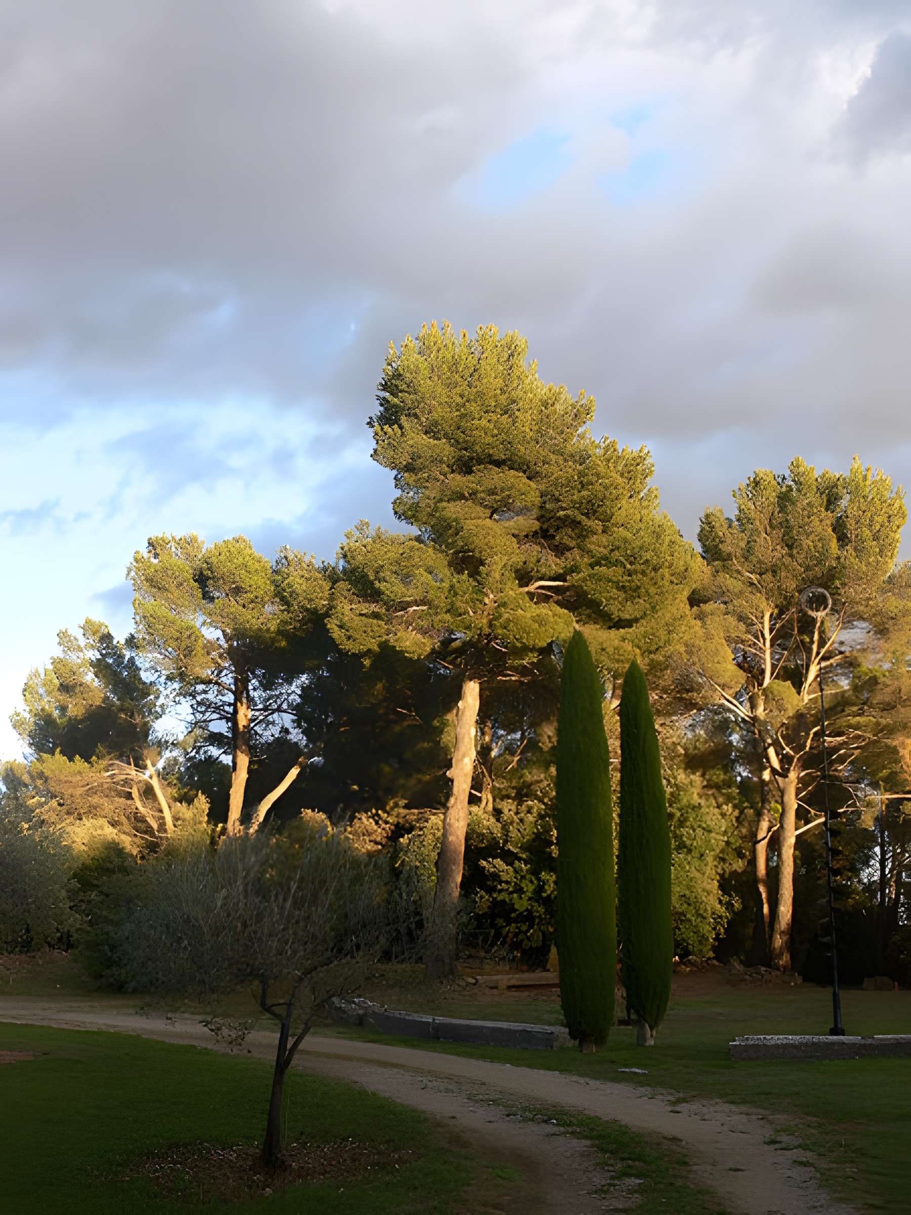 Domaine des Treilles à Flayosc
