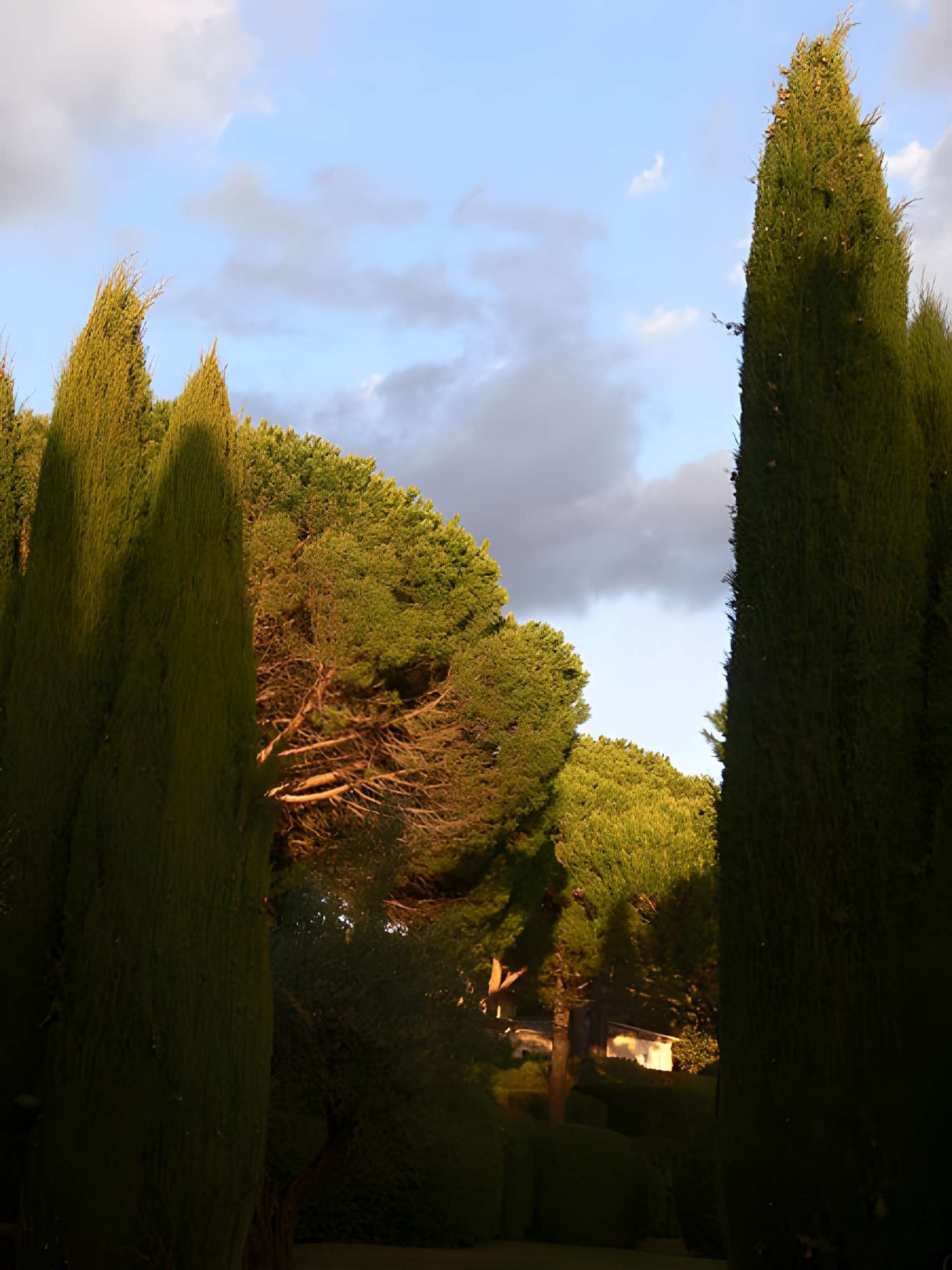 Domaine des Treilles à Flayosc