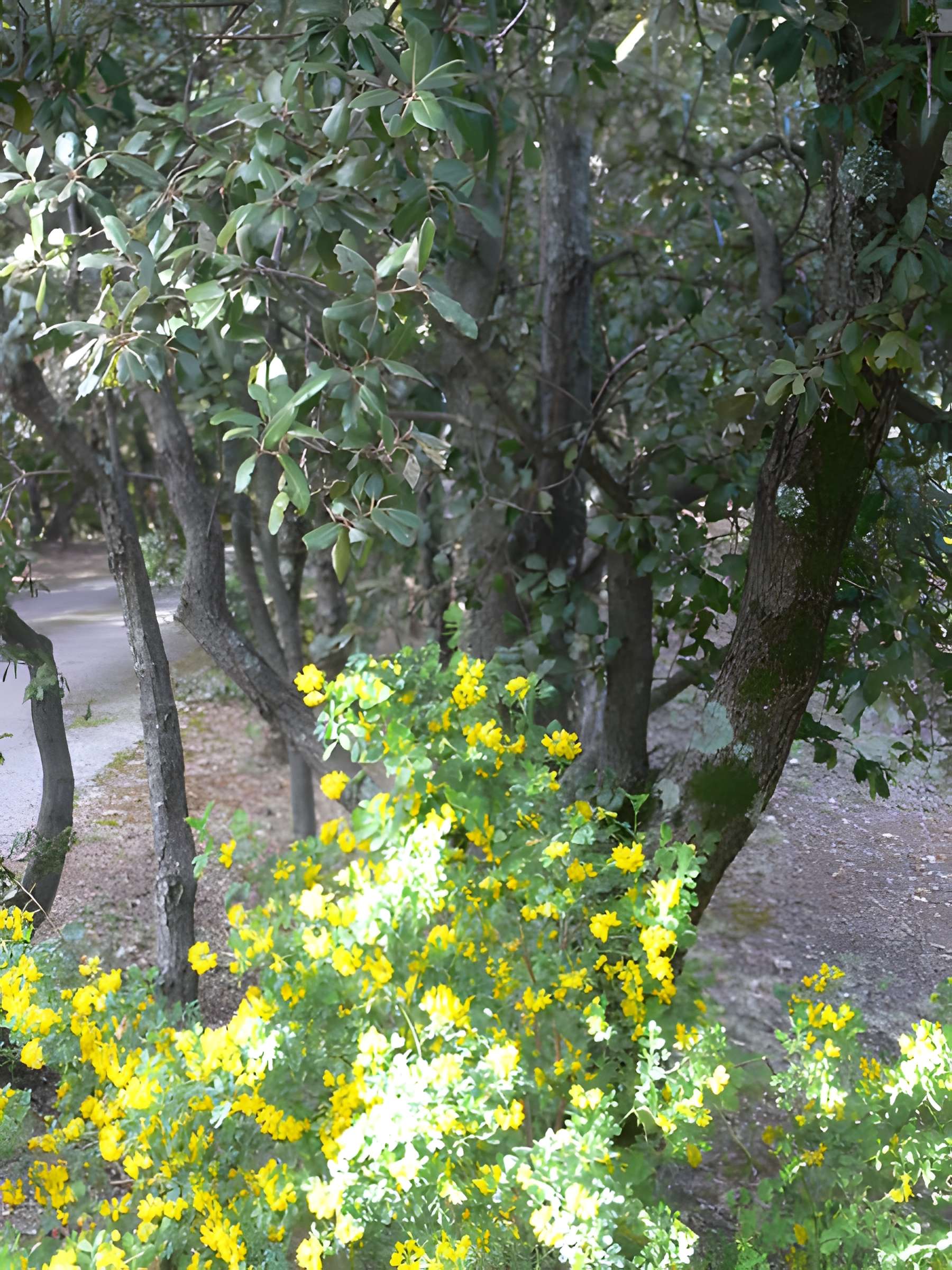 Domaine des Treilles à Flayosc