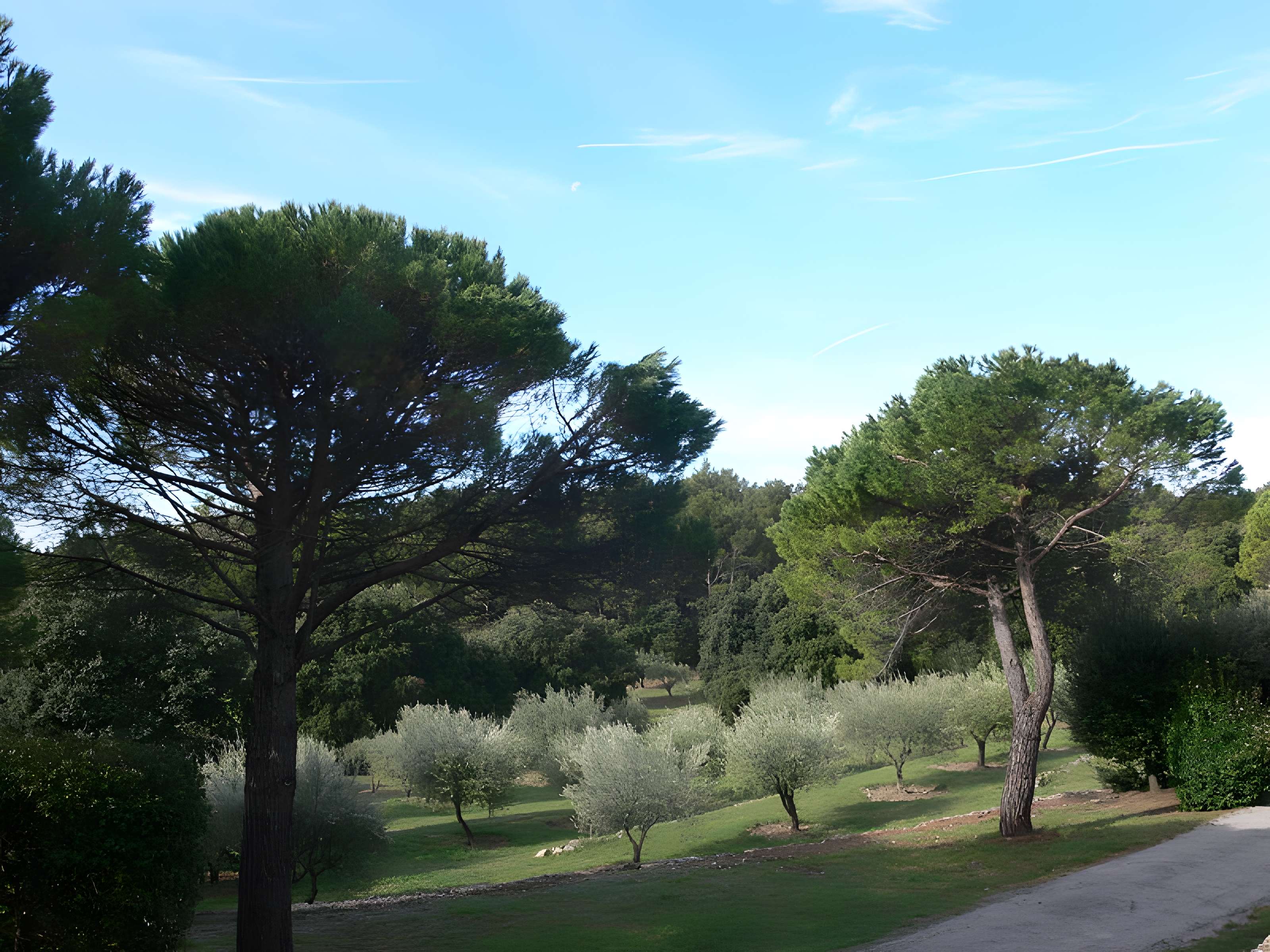 Domaine des Treilles à Flayosc