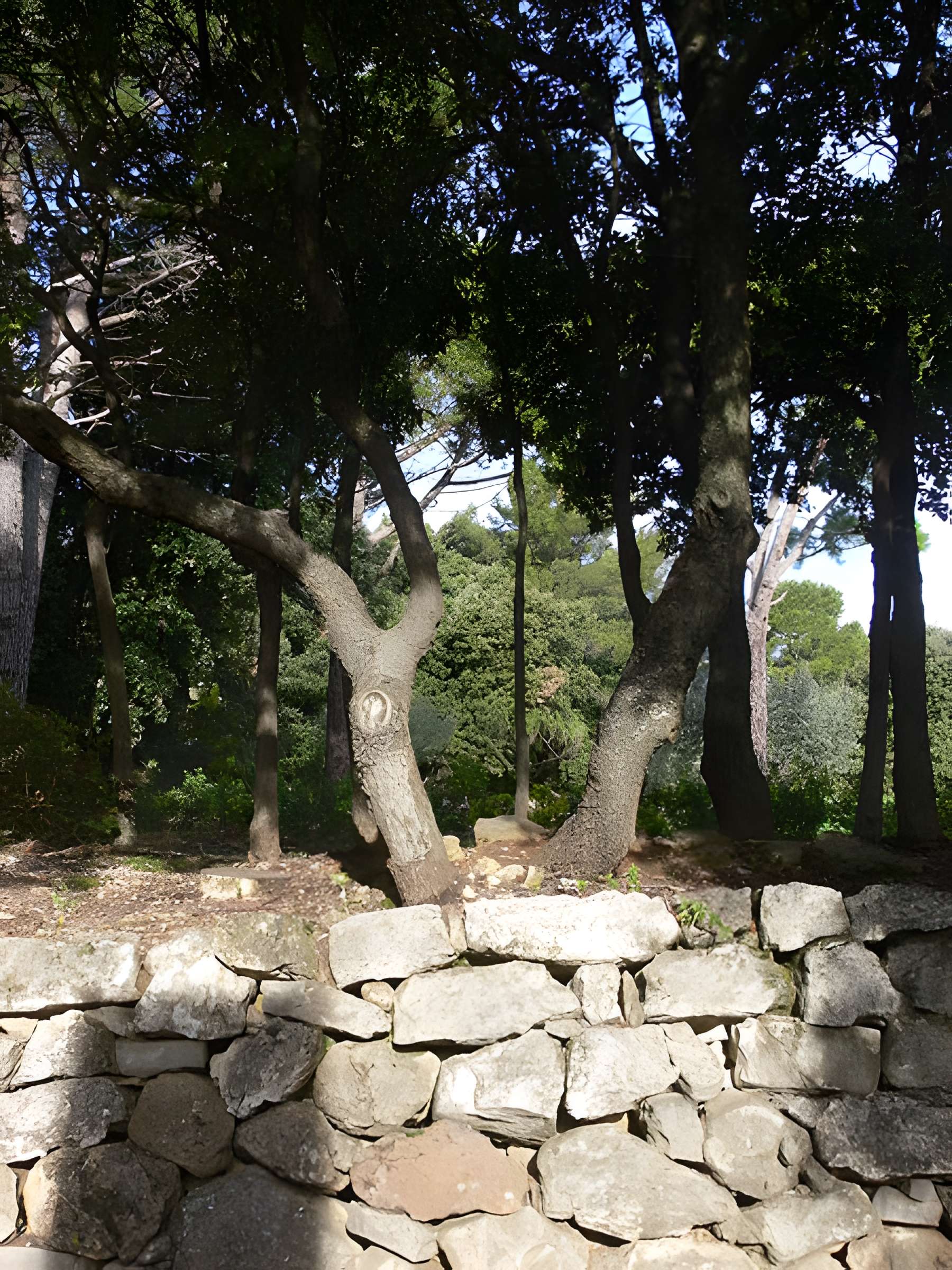 Domaine des Treilles à Flayosc