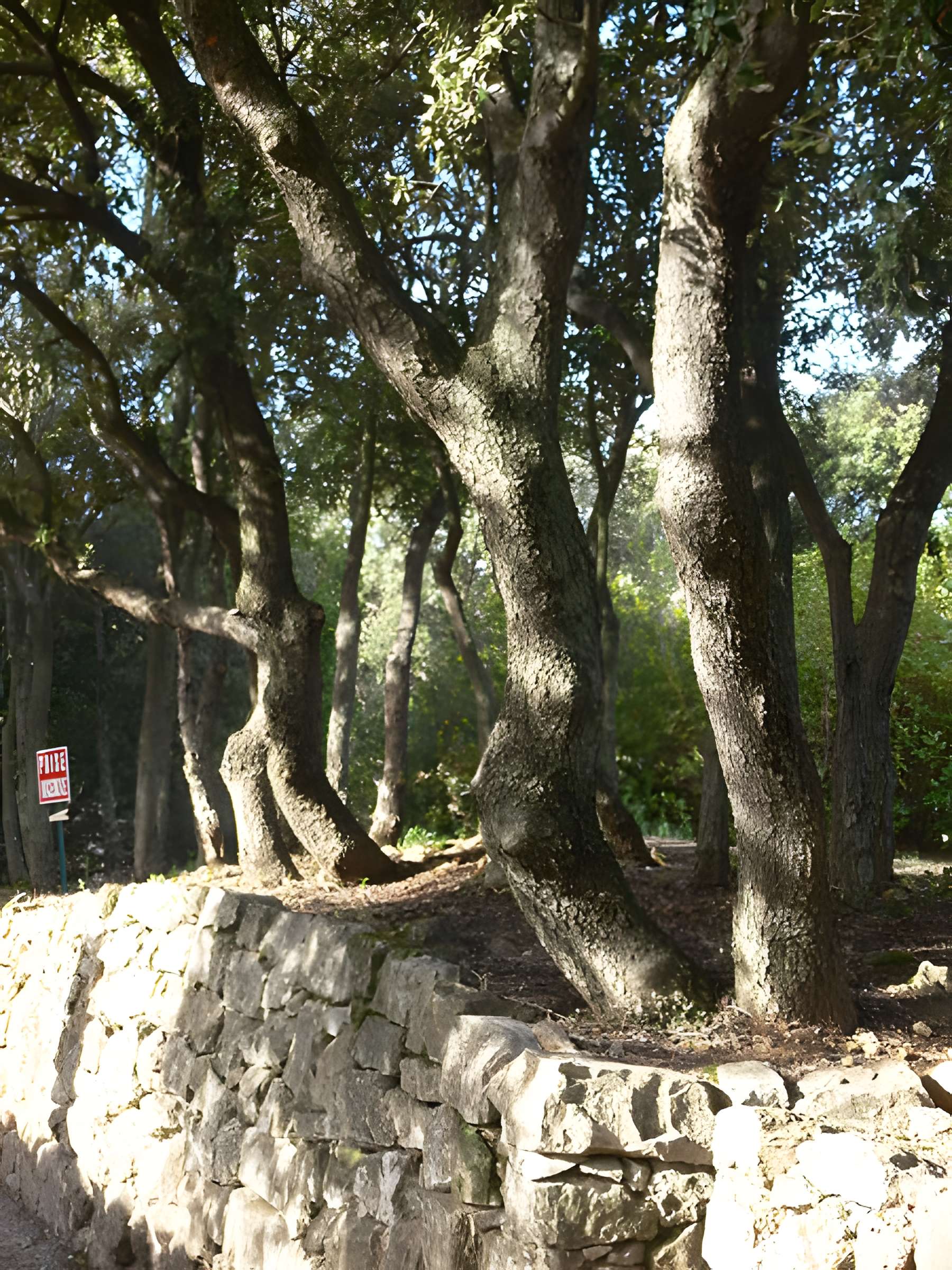 Domaine des Treilles à Flayosc