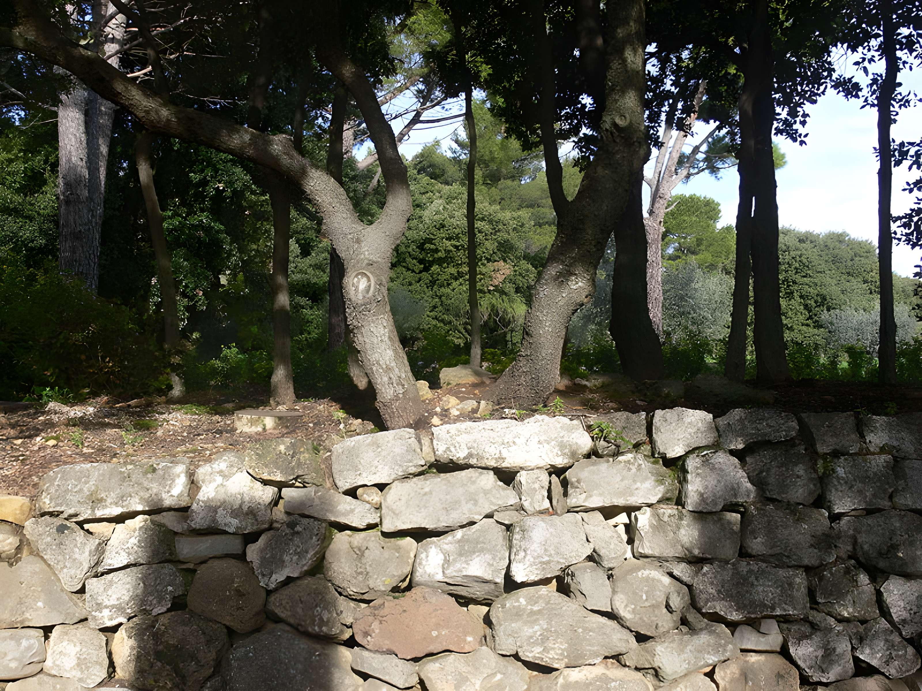 Domaine des Treilles à Flayosc