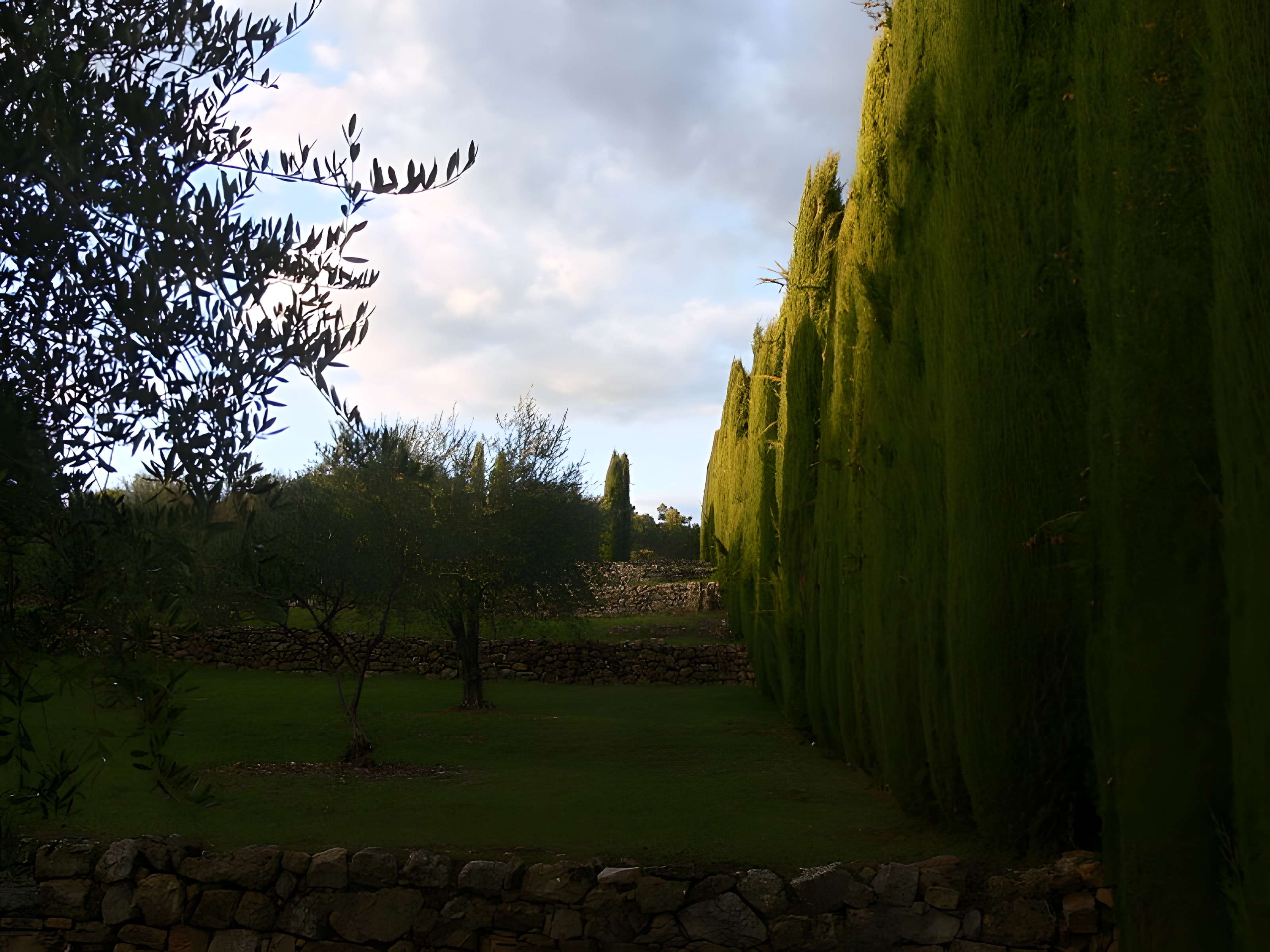 Domaine des Treilles à Flayosc