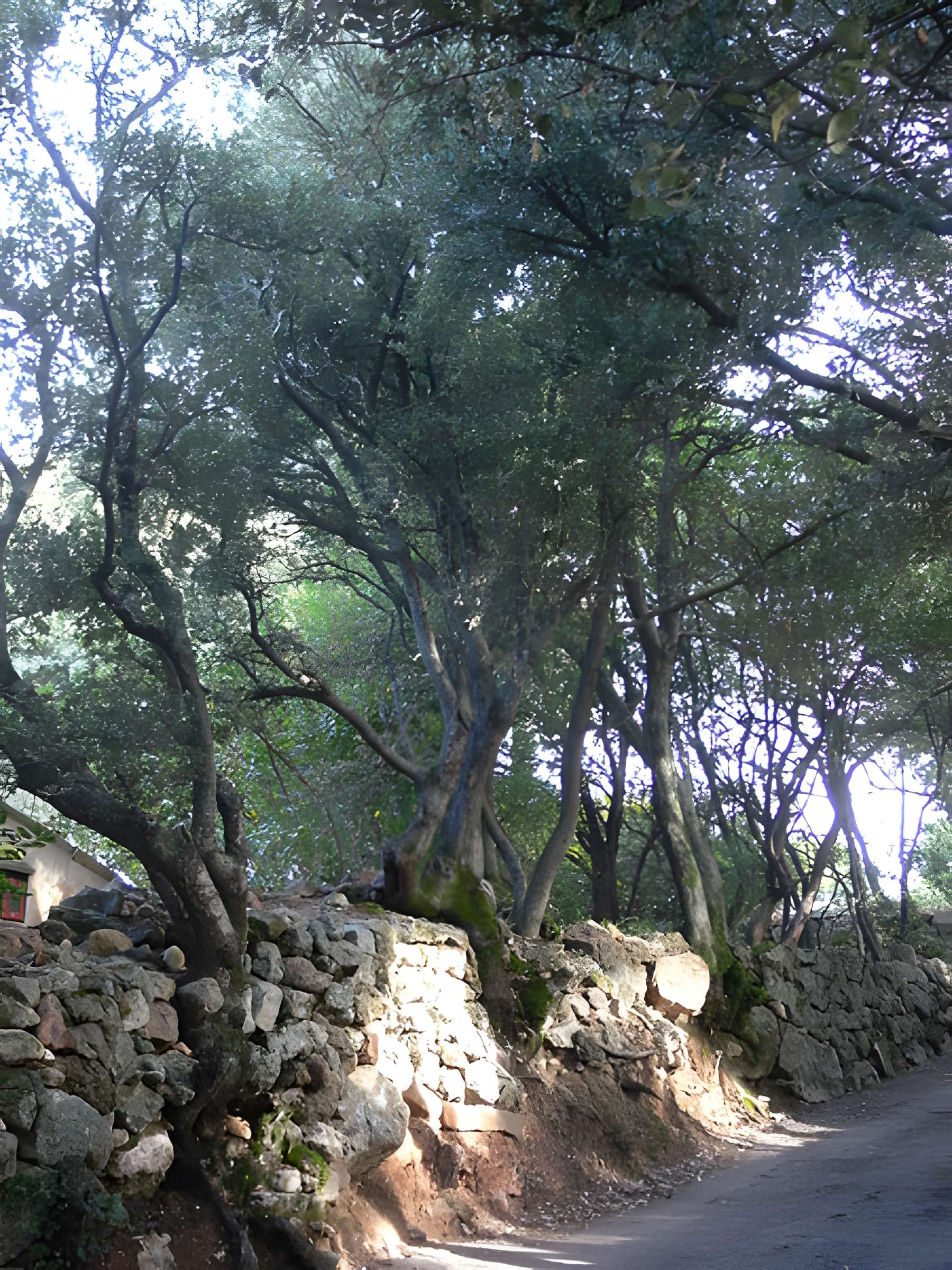 Domaine des Treilles à Flayosc