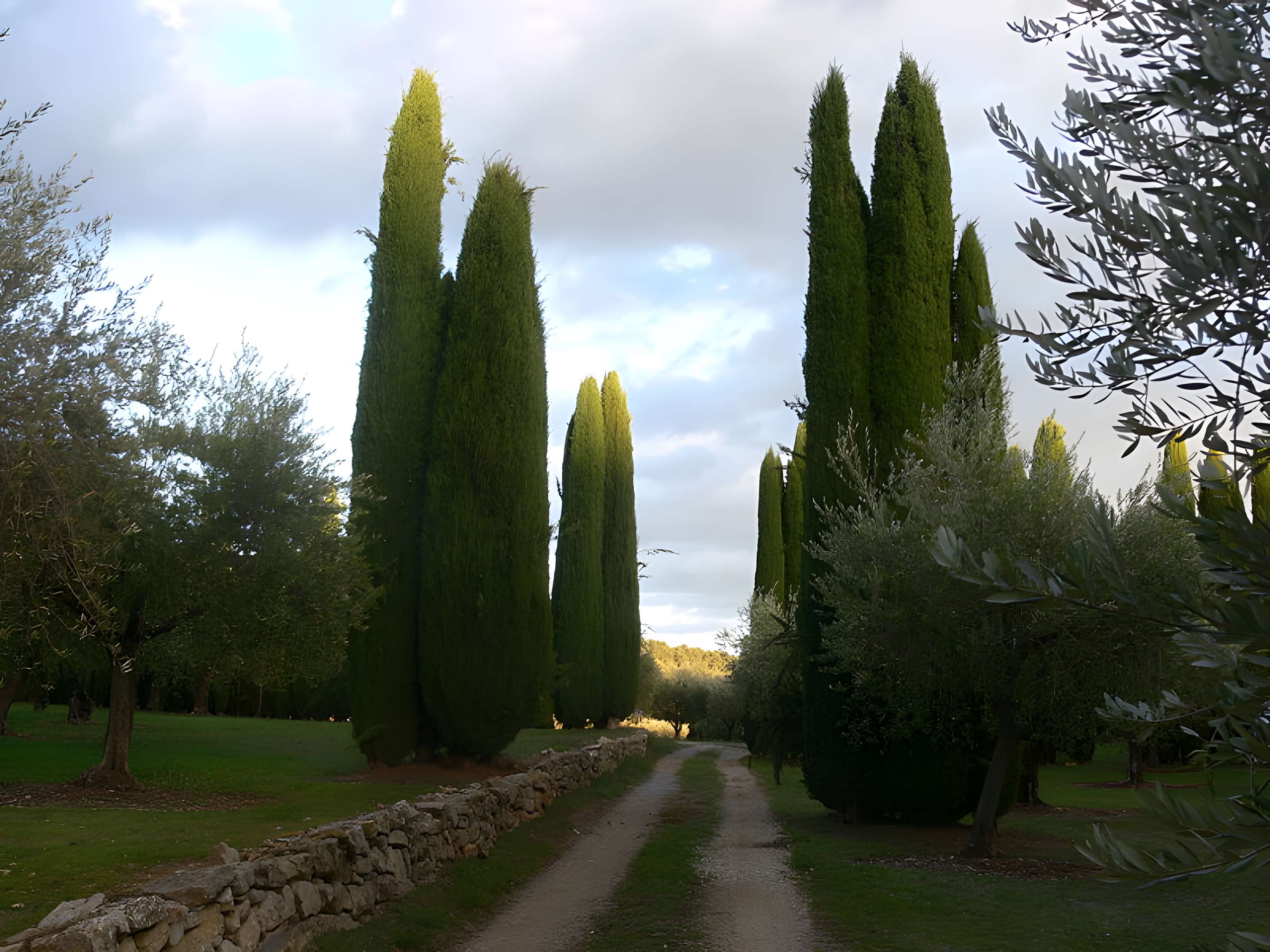Domaine des Treilles à Flayosc