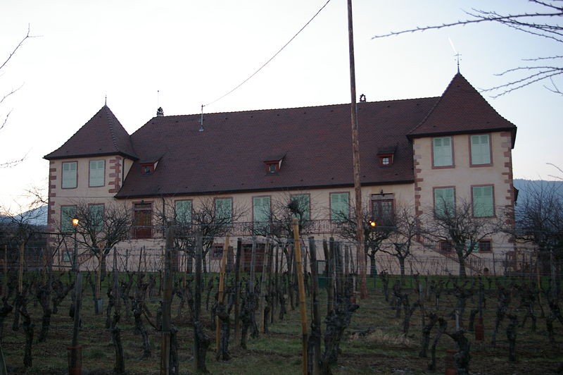 Photo de Domaine du Bouxhof à Mittelwihr