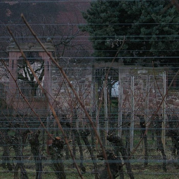Photo de Domaine du Bouxhof à Mittelwihr