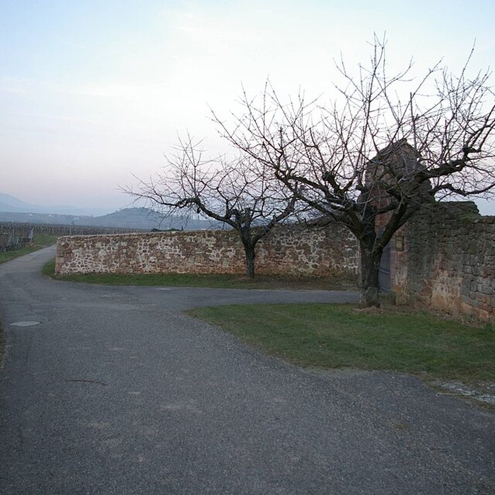 Photo de Domaine du Bouxhof à Mittelwihr