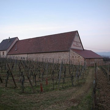 Domaine du Bouxhof à Mittelwihr
