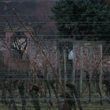 Domaine du Bouxhof à Mittelwihr