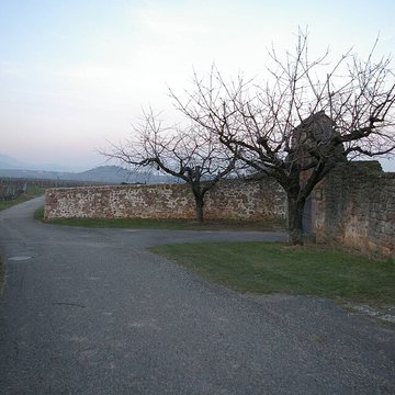 Domaine du Bouxhof à Mittelwihr