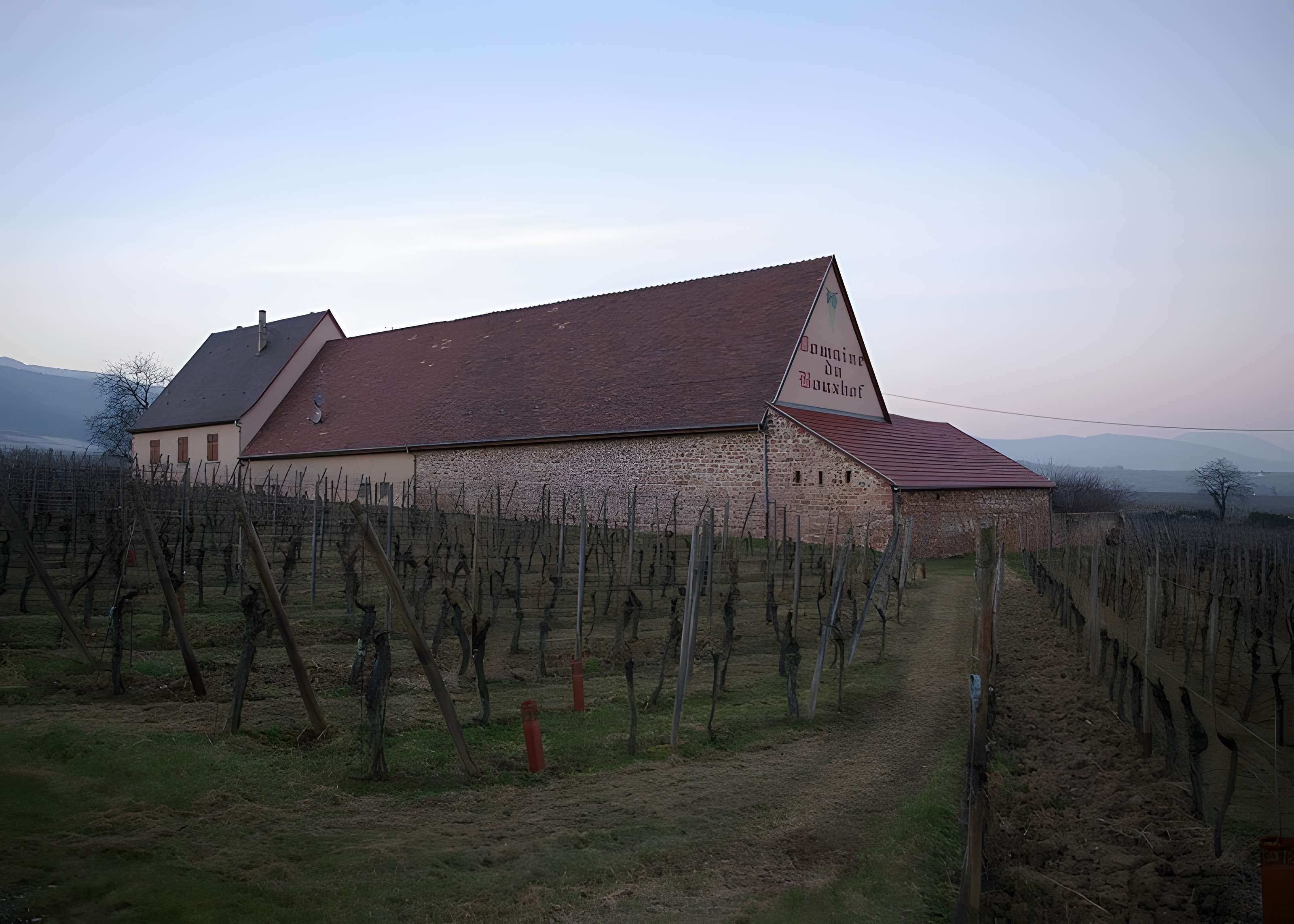 Domaine du Bouxhof à Mittelwihr