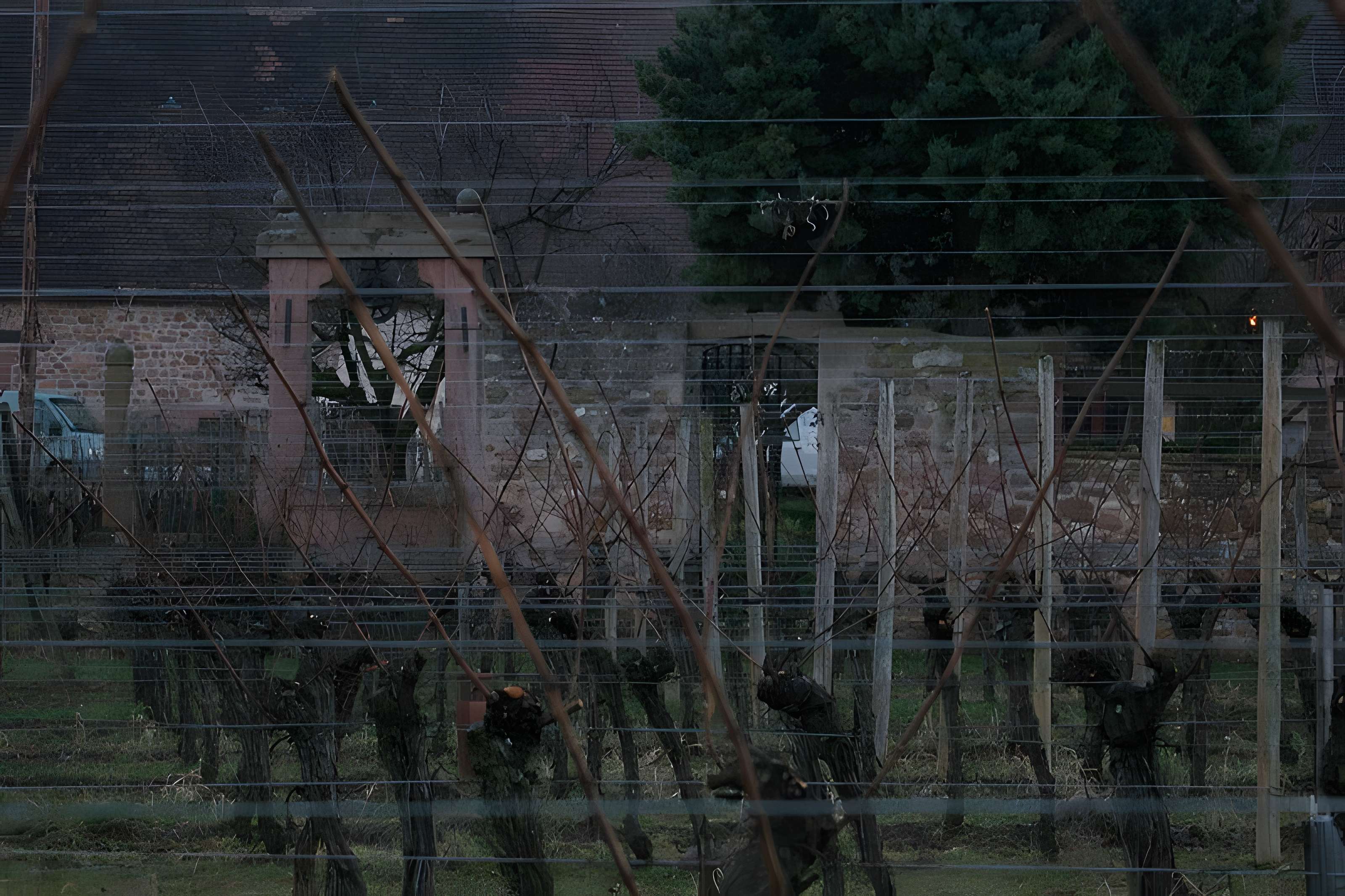 Domaine du Bouxhof à Mittelwihr