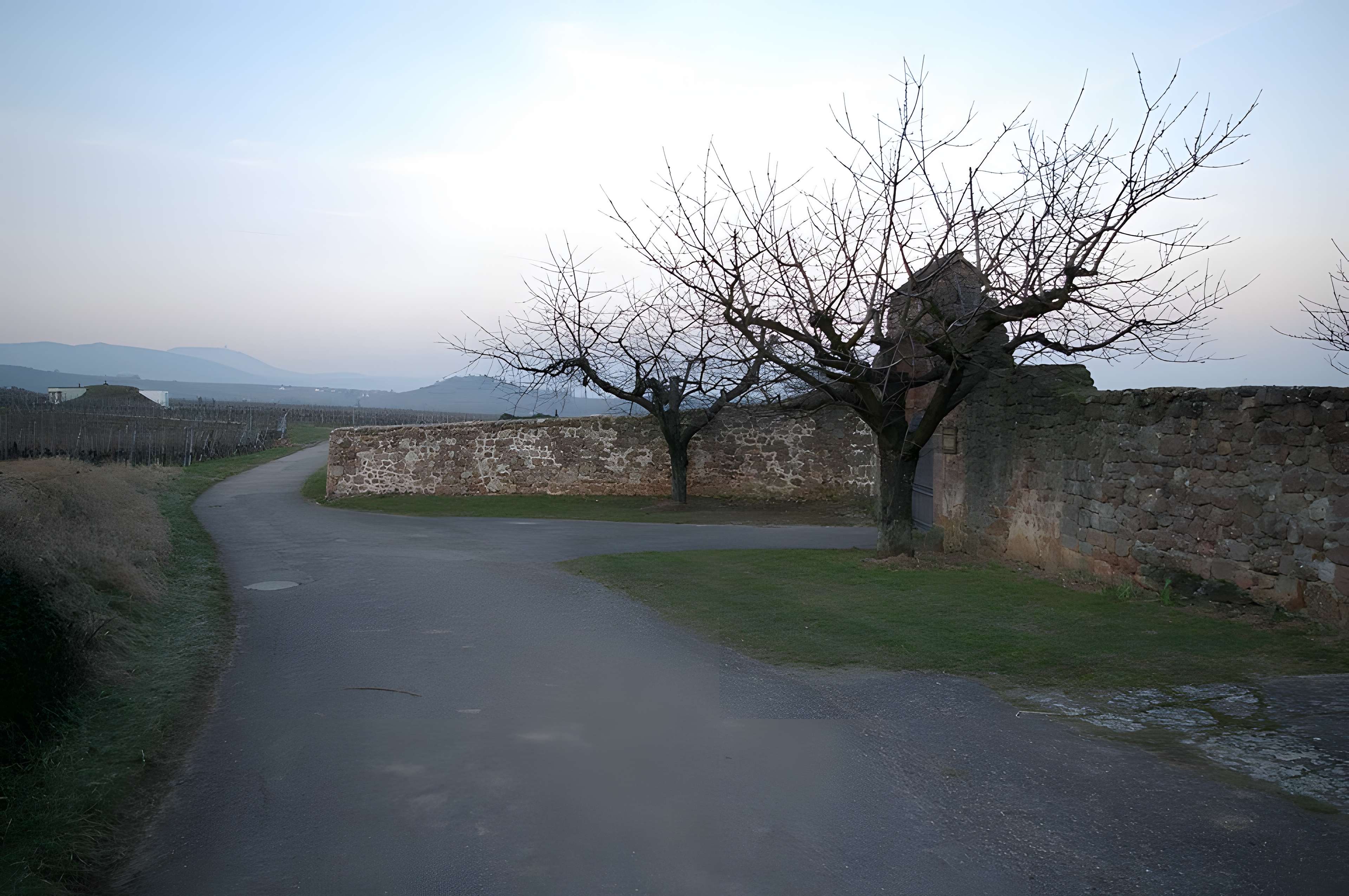 Domaine du Bouxhof à Mittelwihr