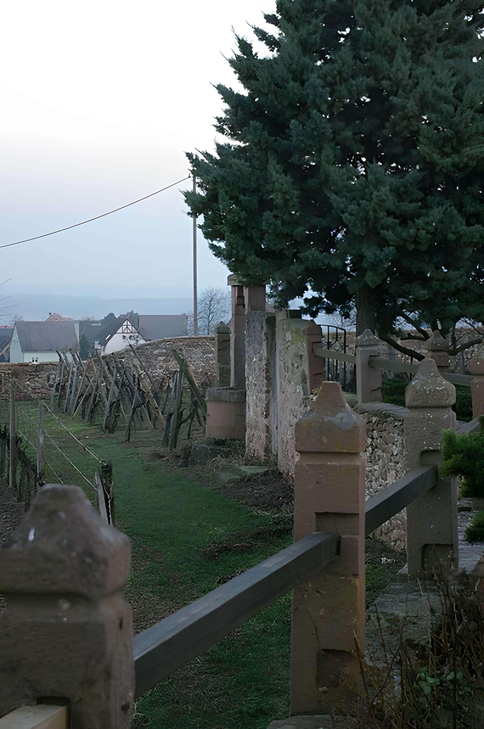 Domaine du Bouxhof à Mittelwihr