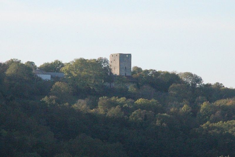 Photo de Donjon de Buenc