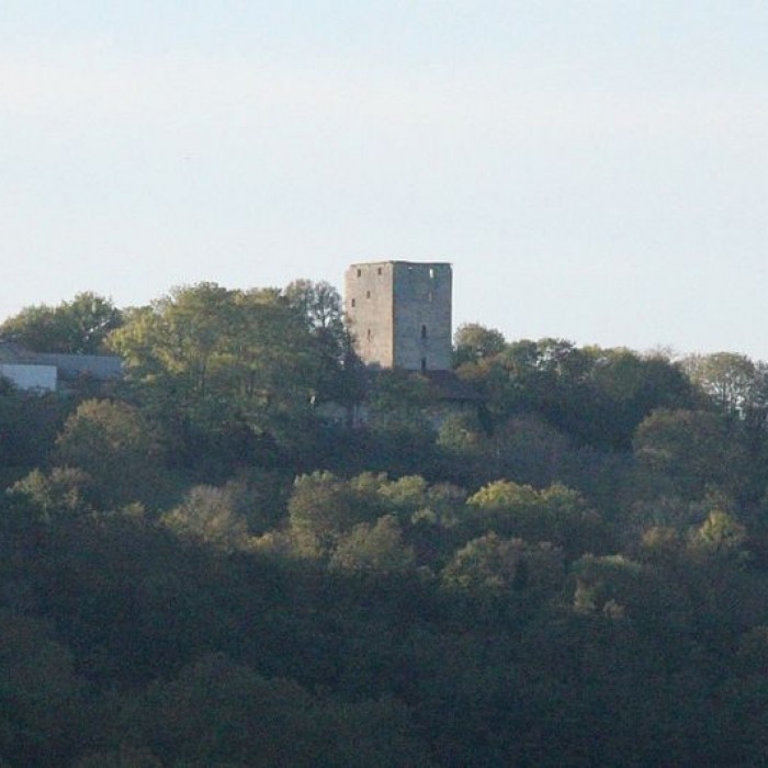 Photo de Donjon de Buenc