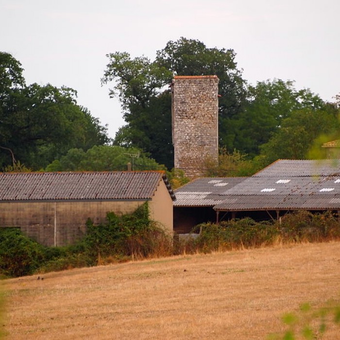 Photo de Donjon de la Chaise