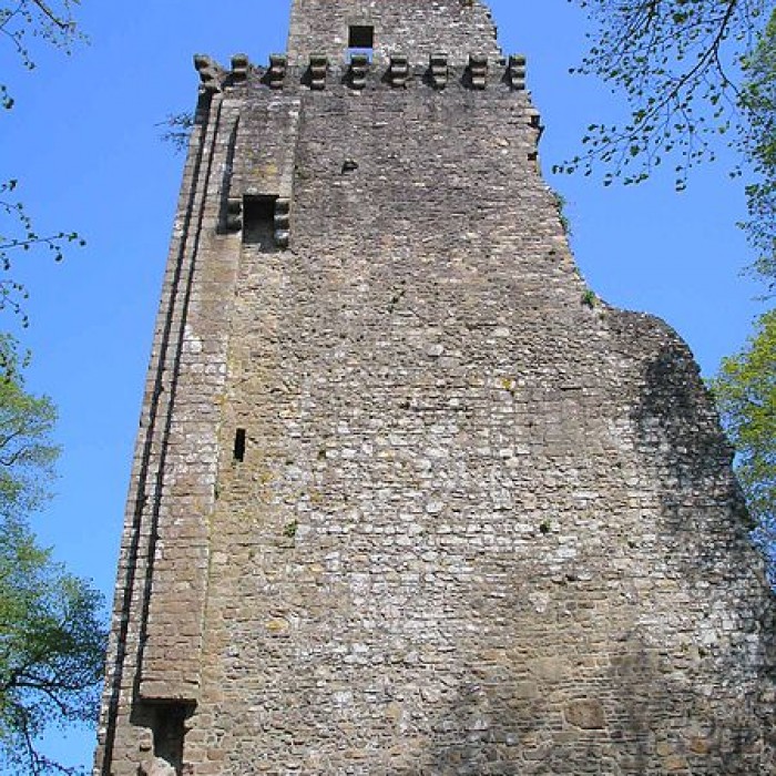 Photo de Ruines du donjon