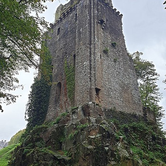 Photo de Ruines du donjon