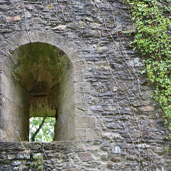 Photo de Ruines du donjon