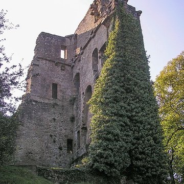 Ruines du donjon