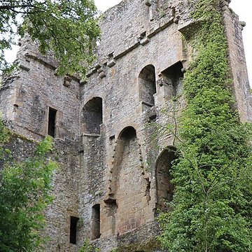 Ruines du donjon