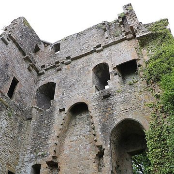 Ruines du donjon
