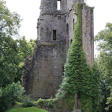 Ruines du donjon