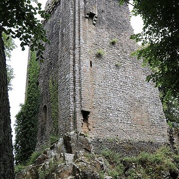 Ruines du donjon