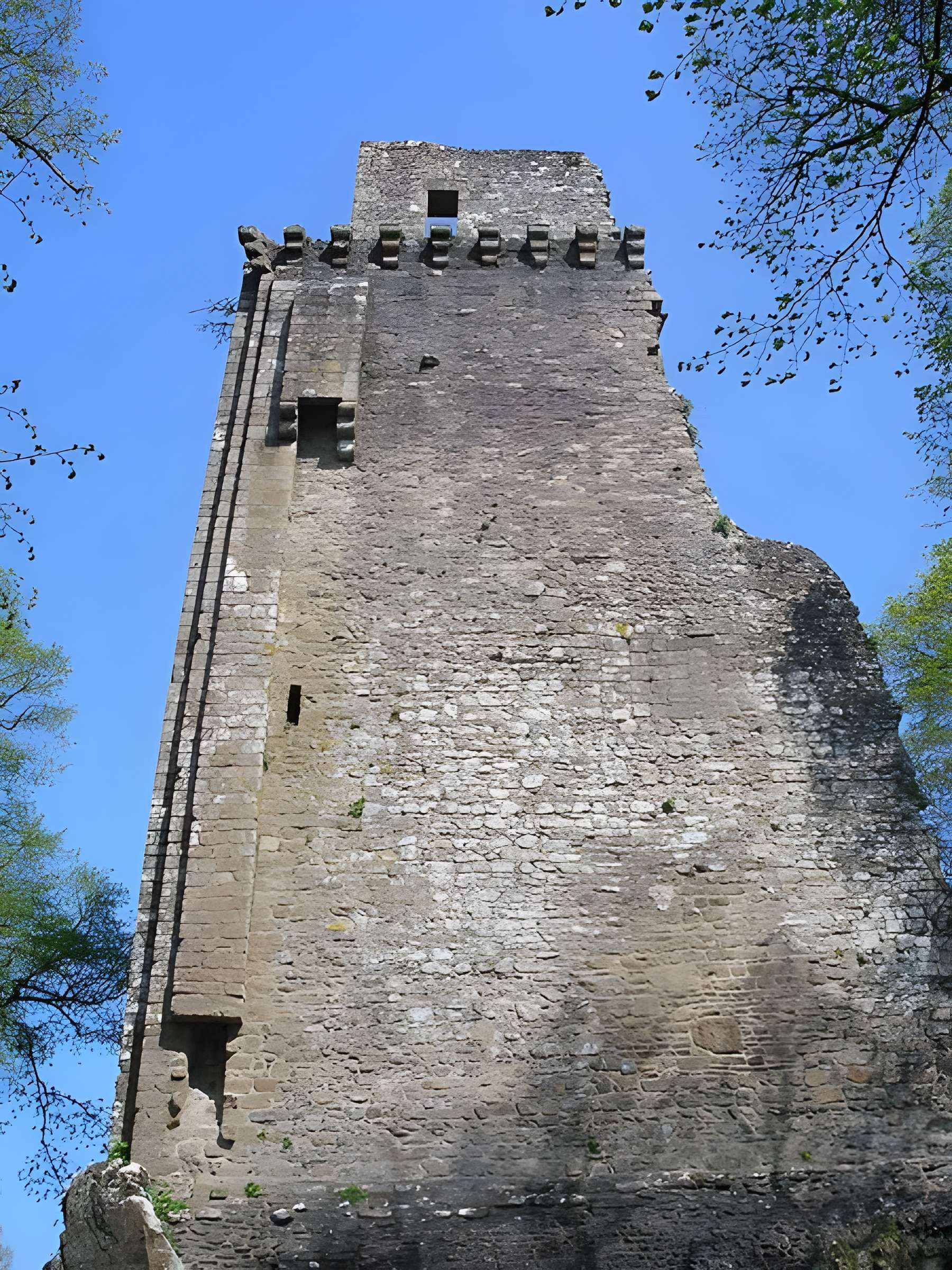 Donjon de Vire 