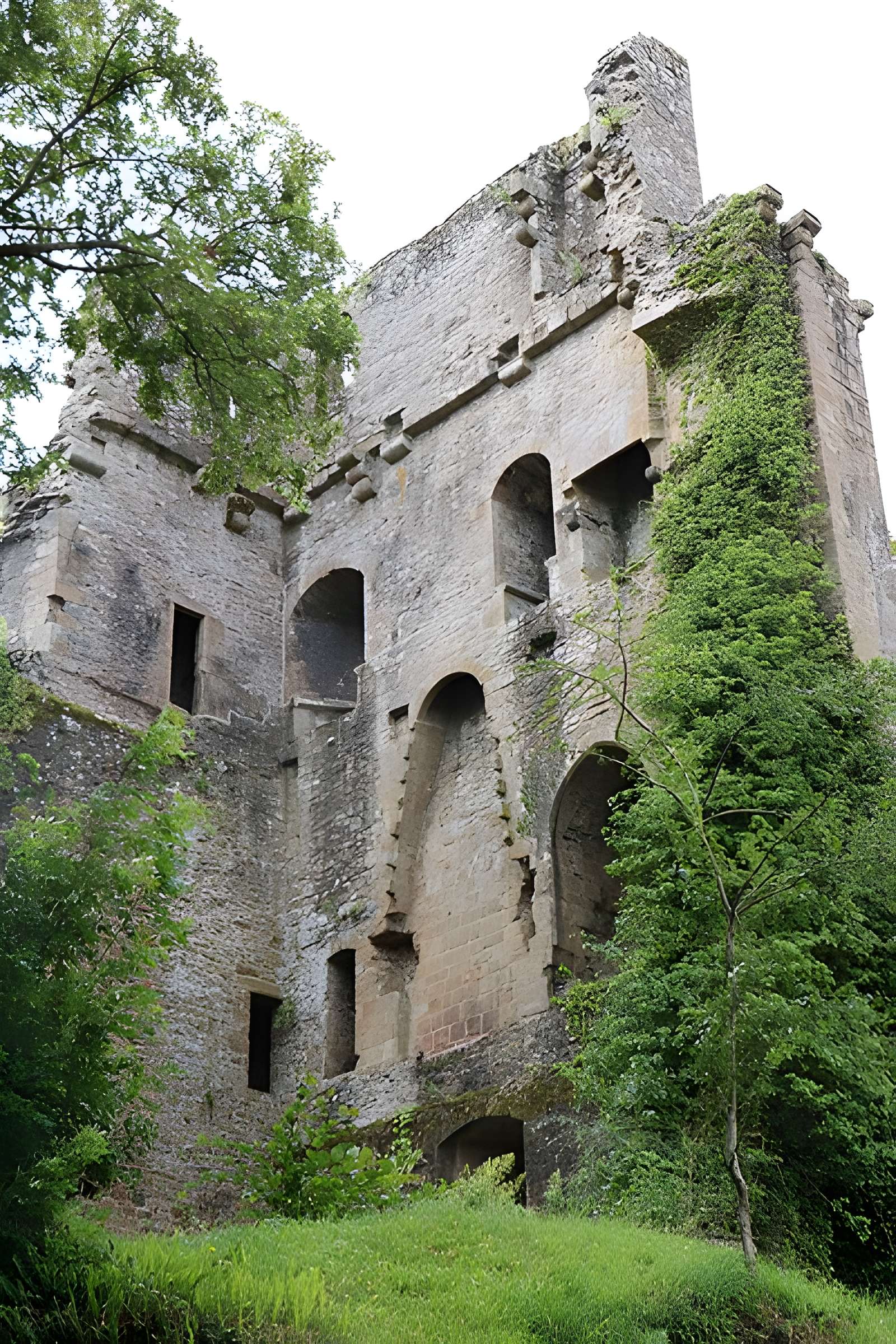 Ruines du donjon