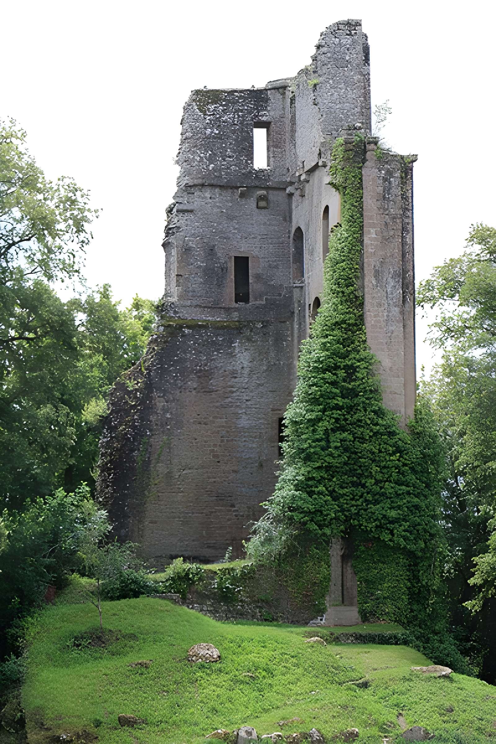 Ruines du donjon