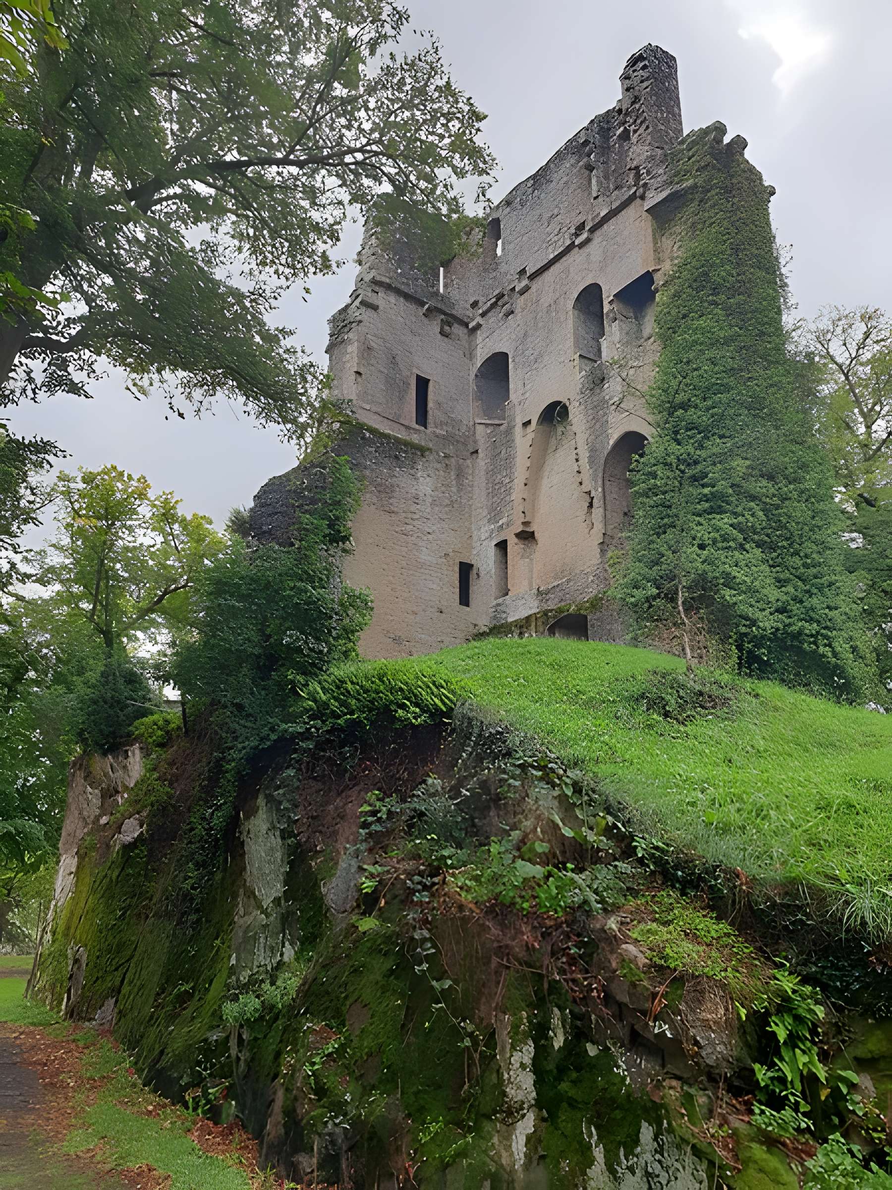 Ruines du donjon