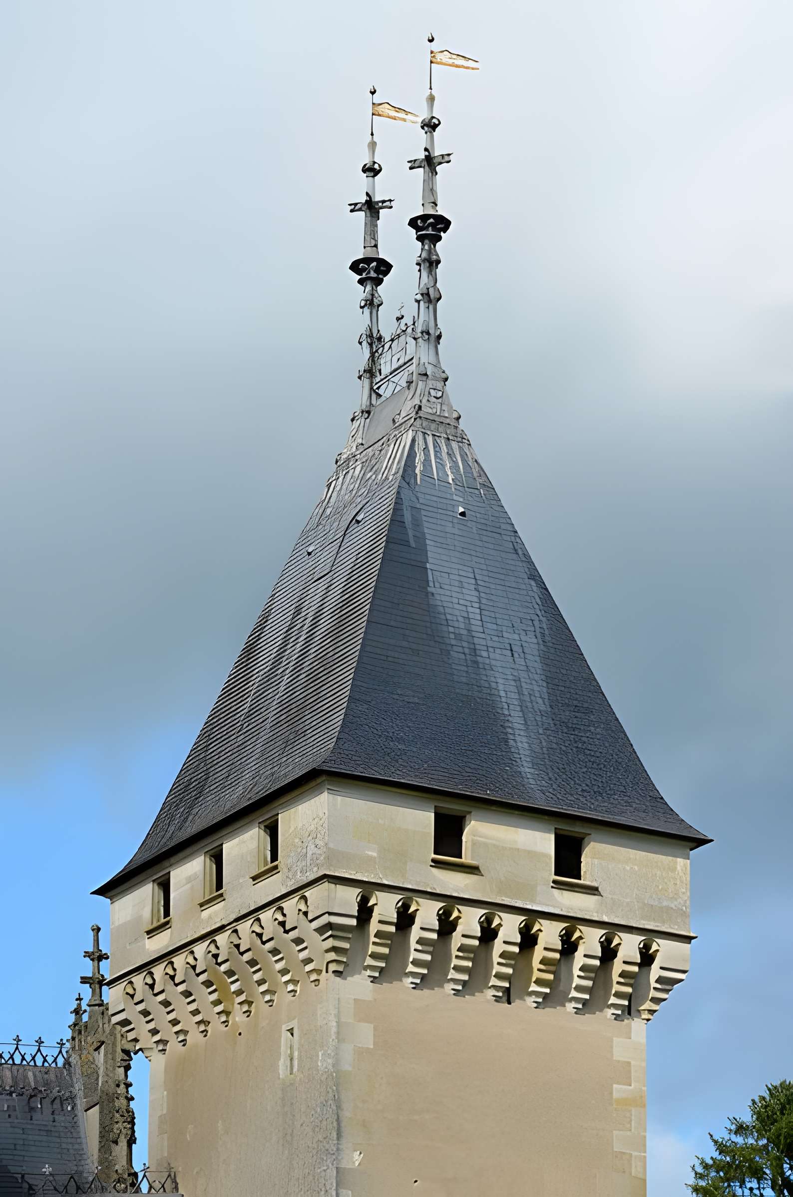 Château de Meillant