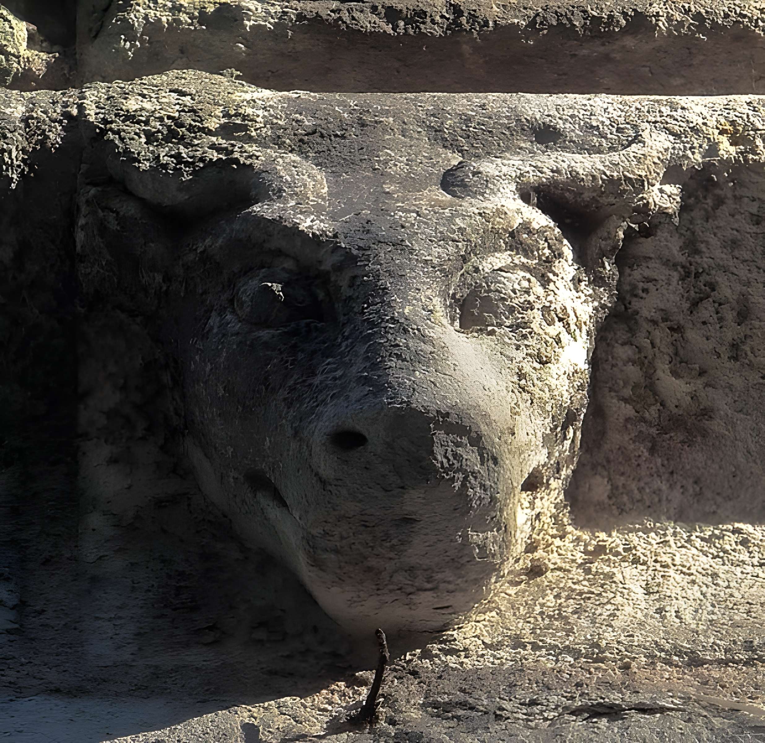 Église de la Trinité d'Angers