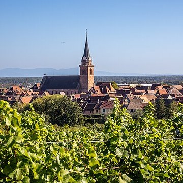 Église de lAssomption-de-la-Bienheureuse-Vierge-Marie de Bergheim