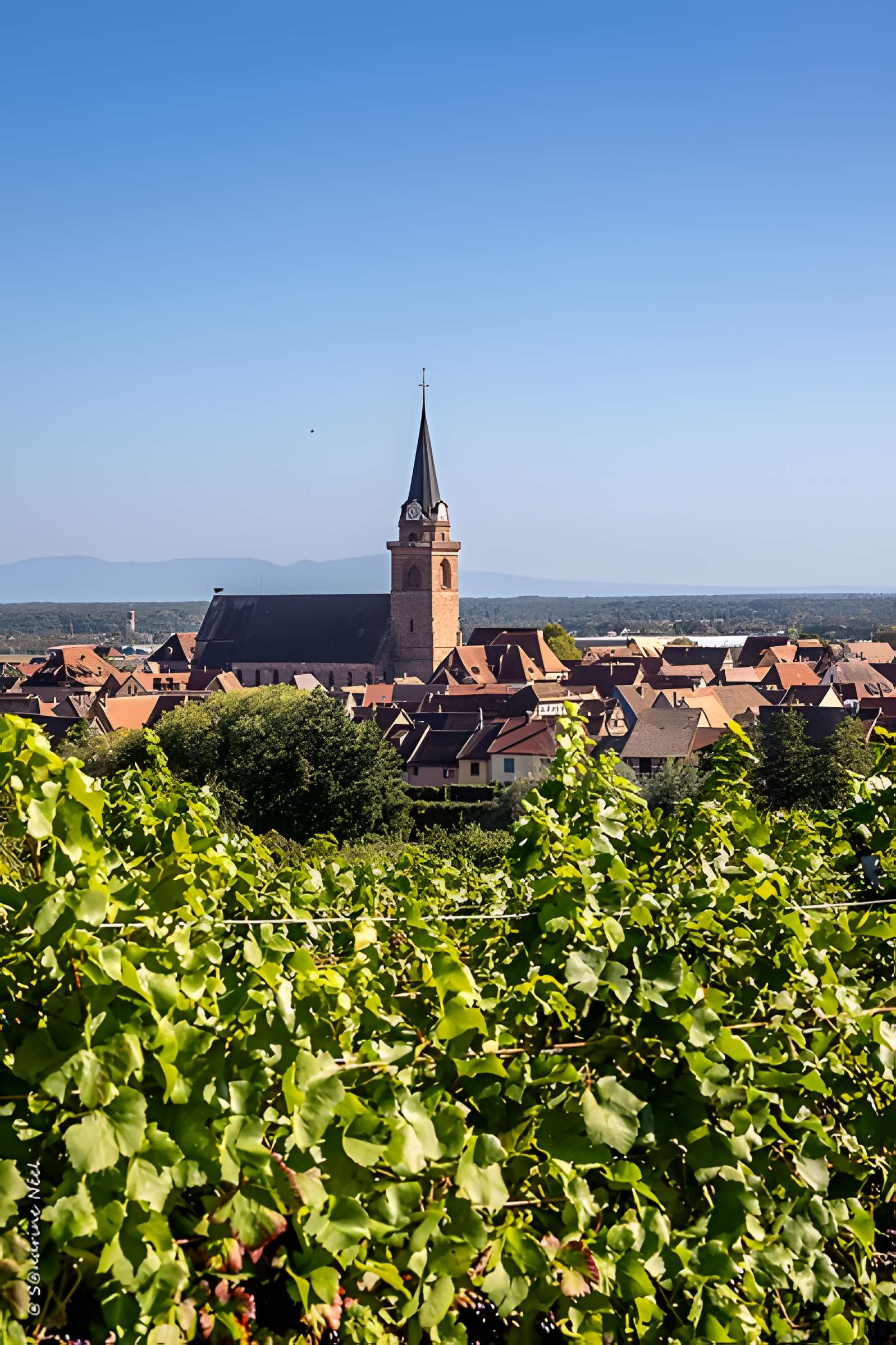 Église de l'Assomption-de-la-Bienheureuse-Vierge-Marie de Bergheim