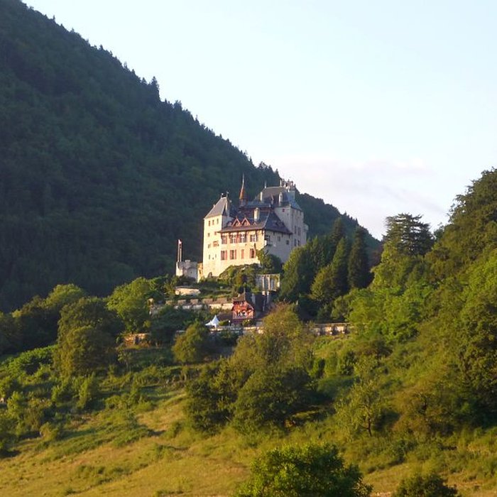 Photo de Château de Menthon