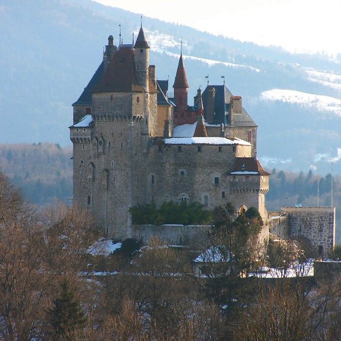 Photo de Château de Menthon