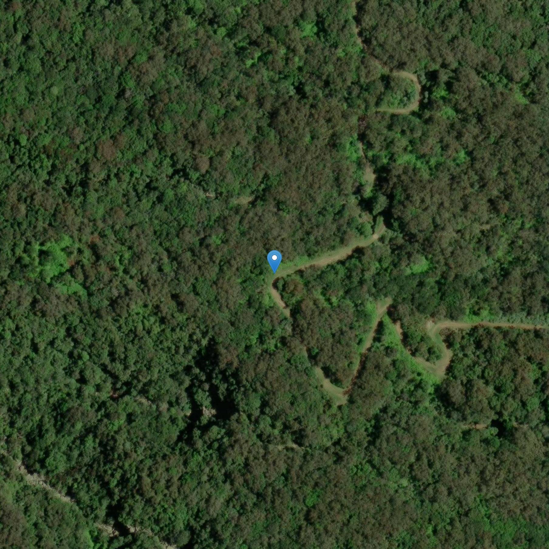 Photo de Cappella di tutti i Santi dei Palmisti