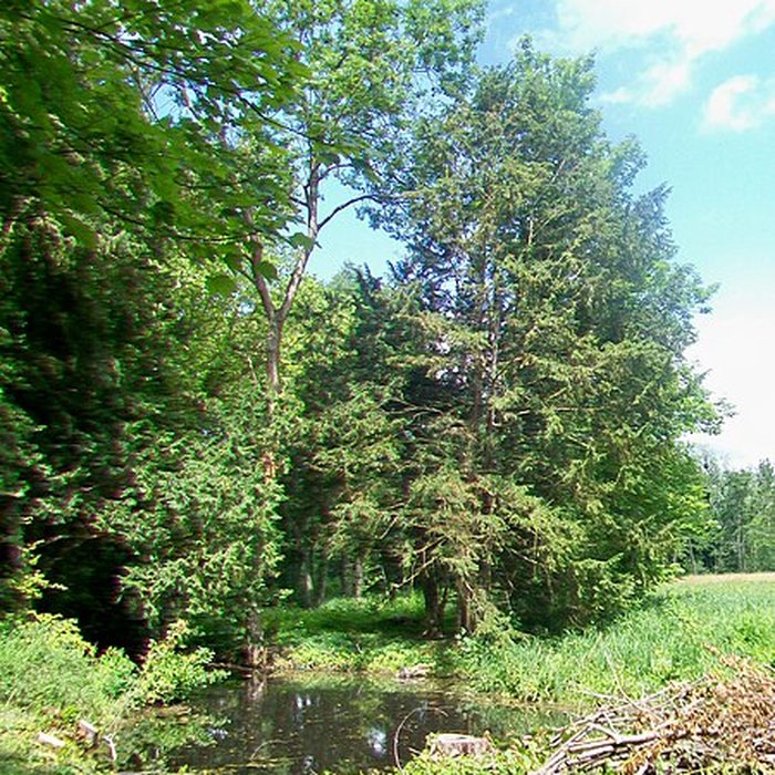 Photo de Château de Méry-sur-Oise